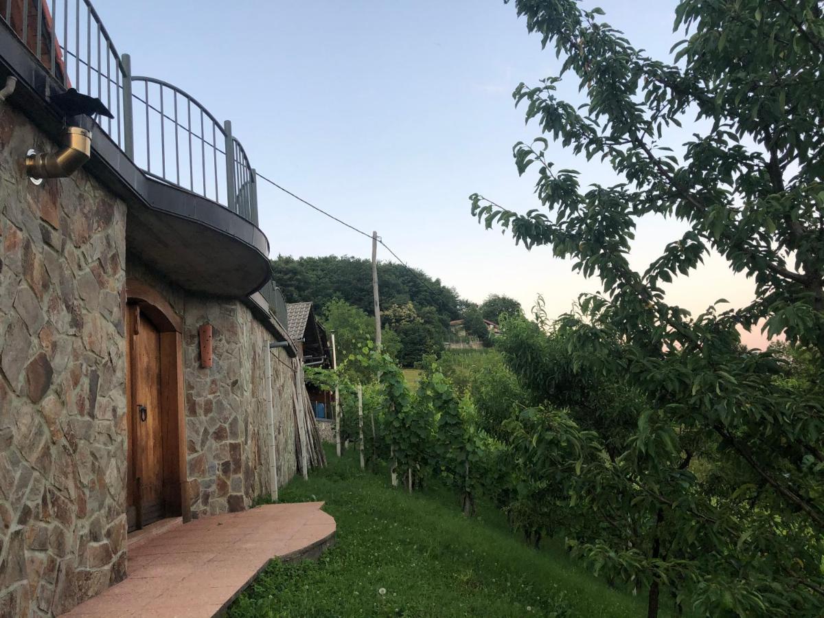 Vineyard Cottage Janko&Metka Otočec Dış mekan fotoğraf