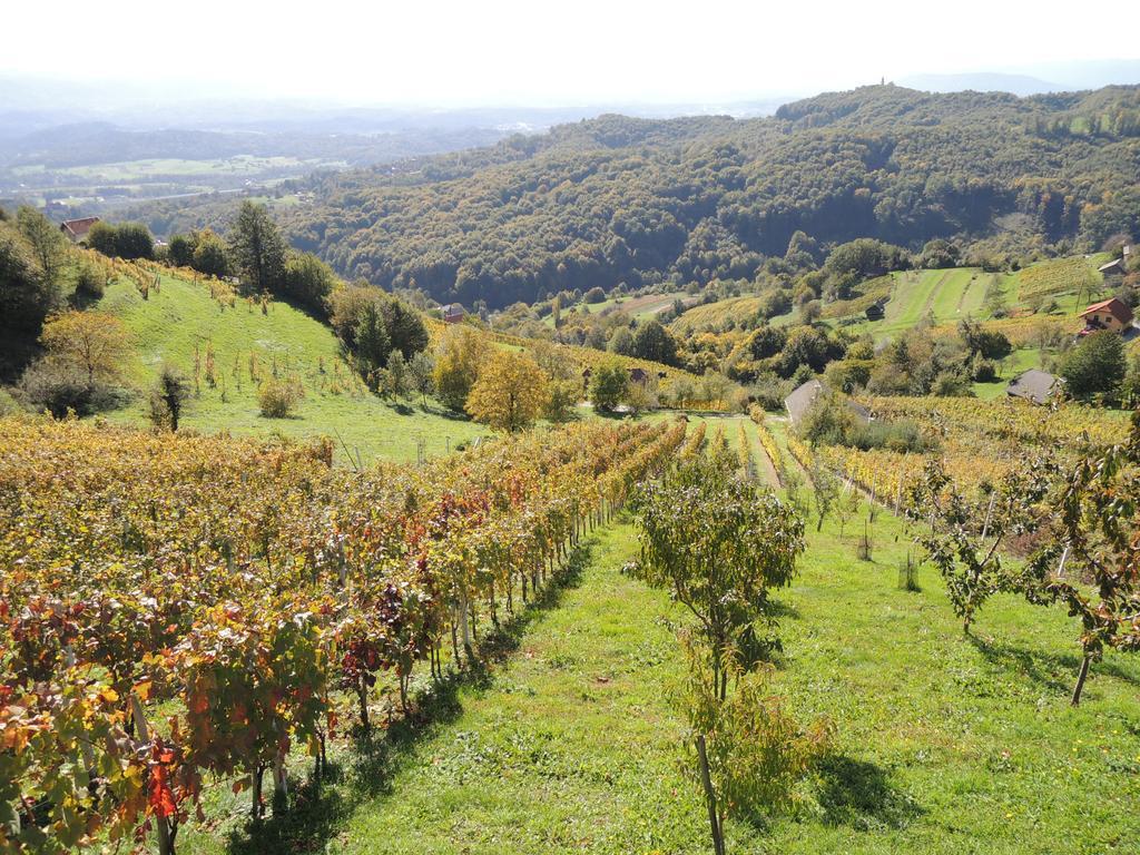 Vineyard Cottage Janko&Metka Otočec Dış mekan fotoğraf